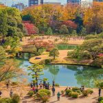 Bridging Beauty: Japanese Gardens and the Art of Landscape Harmony