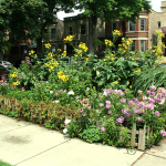 Whispers of Nature: Creating a Tranquil Flower Haven on Your Lawn