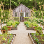 Aromatic Abundance: Exploring the Wonders of Your Culinary Herb Garden